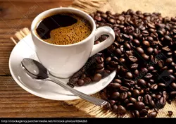 Kaffeesorten mit dunkler Rstung